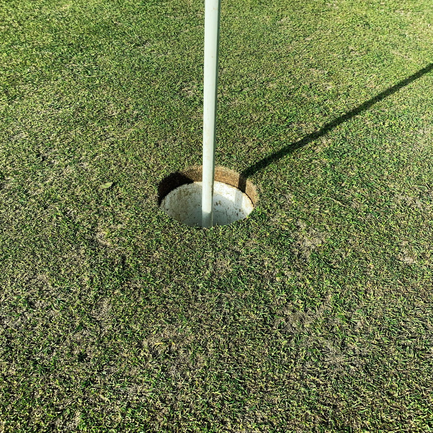 Did you know this rule on ACCIDENTALLY HITTING your ball on the GREEN?